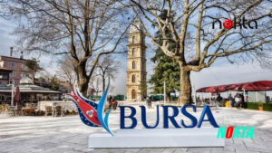 Bursa'da Ormanları yok eden karar