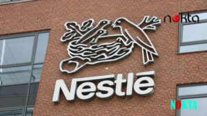 Nestle Türkiye'ye Rekabet Kurulu'ndan Ağır Ceza